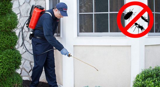 Şavşat Kene İlaçlama böcek ilaçlama ve haşere kontrolü — ilaclama-tr.com